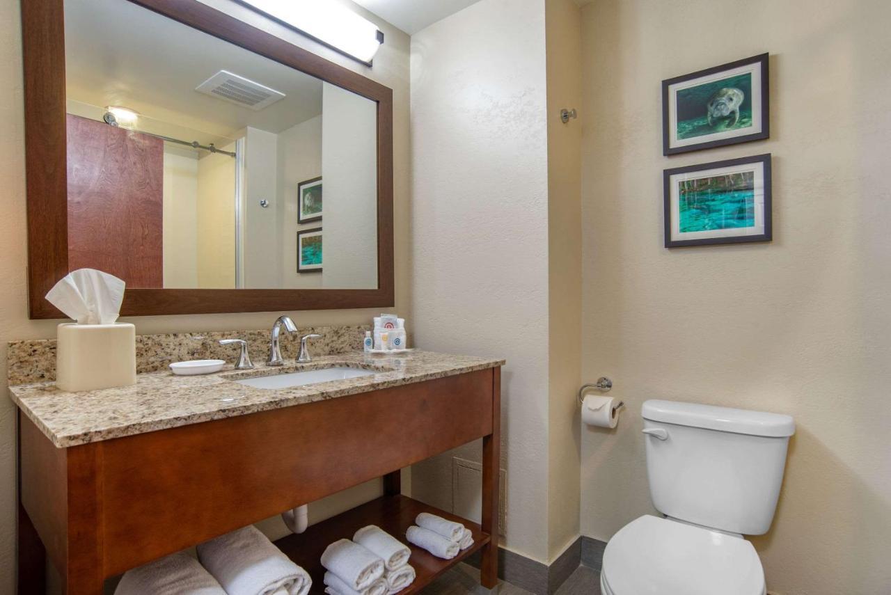 Comfort Suites Tallahassee Capitol - University Area Quarto foto